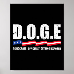 Poster Departamento De Eficiência Governamental D.o.g.e D