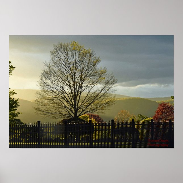 Poster Depois da chuva (Frente)