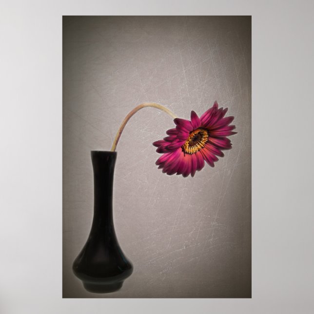 Póster Derrubando Gerbera Daisy Em Vase (Frente)