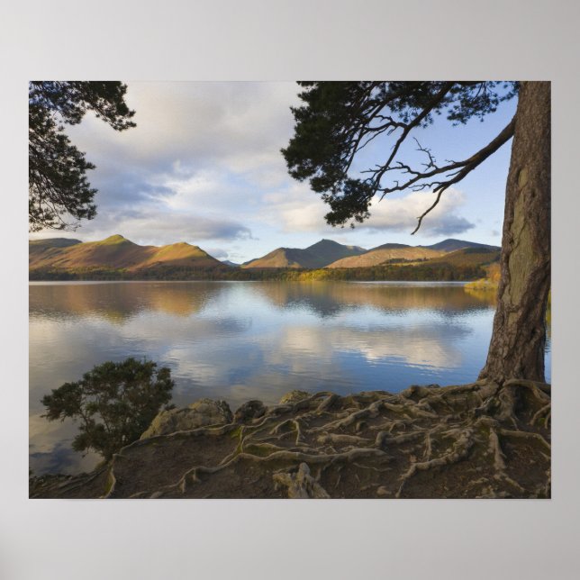 Poster Derwentwater, Lake District, Cumbria, Inglaterra (Frente)