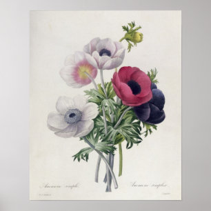 Póster 'DES de Les Choix mais Belles Fleurs