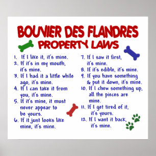 POSTER DES FLANDRES PL2 DE BOUVIER