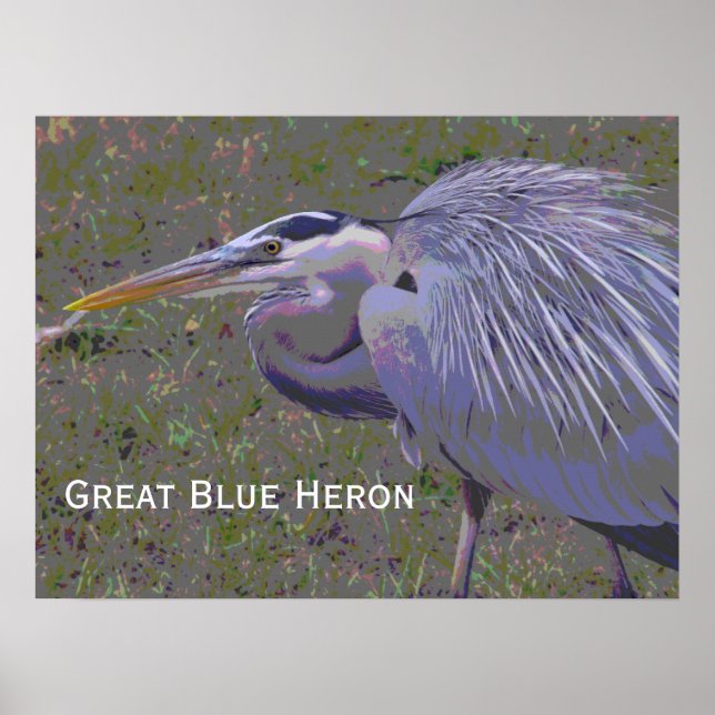 Poster Desafio Heron Azul do excelente (Frente)