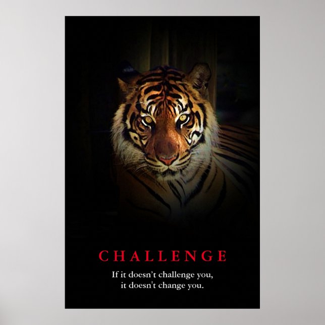 Poster Desafio Motivacional Tiger (Frente)