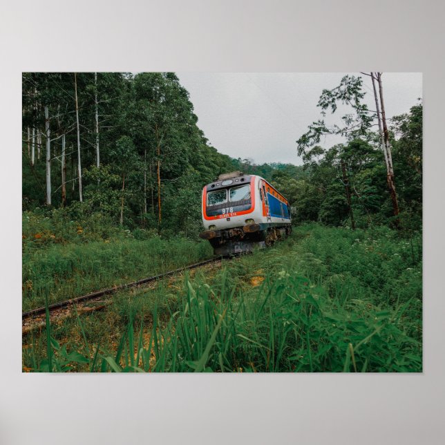 Poster Desal Train Sri Lanka (Frente)