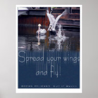 Desativação Pelicana