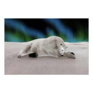 Póster Descanso de Urso Polar