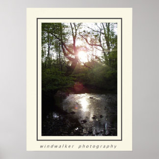 Poster Descanso pacífico