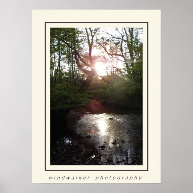 Poster Descanso pacífico (Frente)