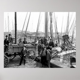 Poster Descarregando Ostras