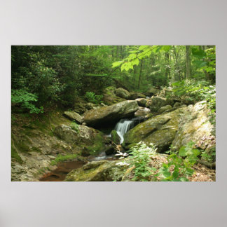 Poster Descarte De Sabor