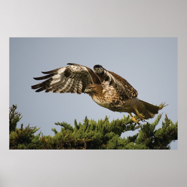 Poster Descolagem (Frente)