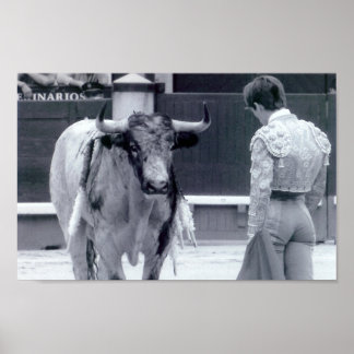 Poster Descolagem em tourada