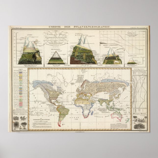 Póster Descrição da geografia das plantas (Frente)