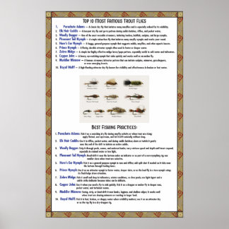 Poster Descrição dos dez principais padrões de mosca e me