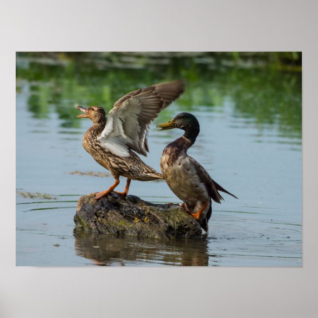 Poster Desculpe-me (Frente)