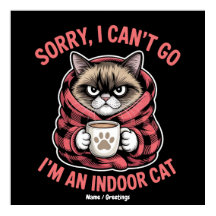 Desculpe, não posso ir. Sou um gato engraçado.