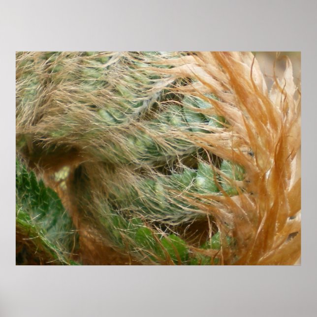 Póster Desdobramento (Frente)