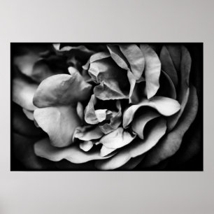 Póster desdobramento da vida interior