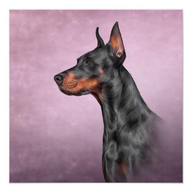 Póster Desenhando cão Doberman (Frente)