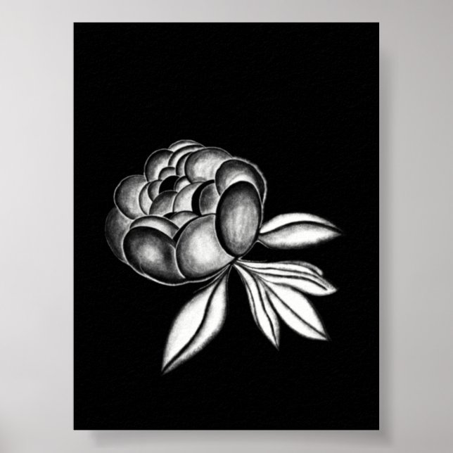 Poster desenho a lápis de peônias (Frente)
