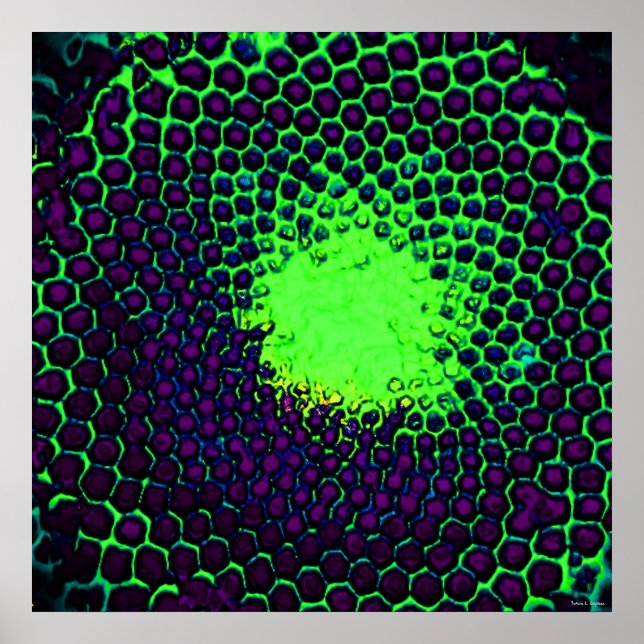Póster Desenho Abstrato de Favos de Mel verde e roxo (Frente)