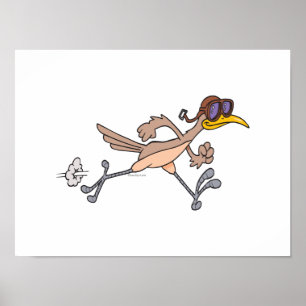 Póster desenho animado de pássaros do roadrunner do bobo