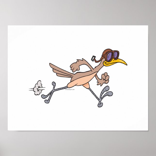 Póster desenho animado de pássaros do roadrunner do bobo (Frente)