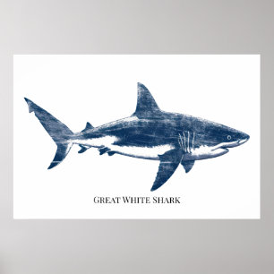 Poster Desenho antigo de um tubarão