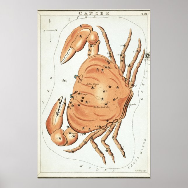 Poster Desenho Astrológico de Câncer (Frente)