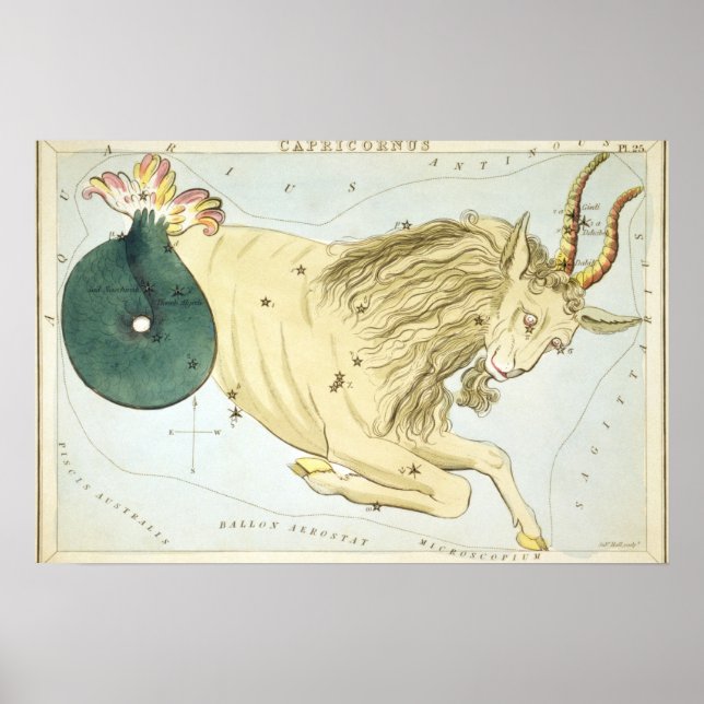 Poster Desenho Astrológico de Capricórnio (Frente)