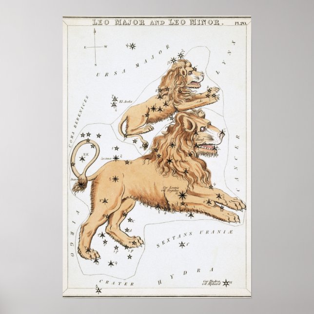 Poster Desenho Astrológico de Leão (Frente)