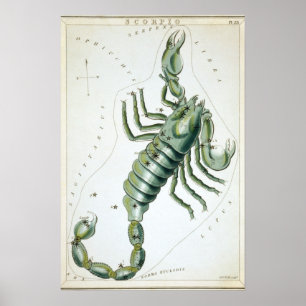 Poster Desenho Astrológico Escorpião