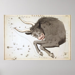 Poster Desenho astrológico Taurus