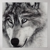 Desenho branco preto de um lobo