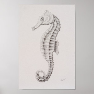 Poster Desenho Costeiro de Cavalo-Costeiro