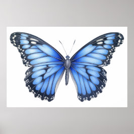 Poster Desenho da borboleta
