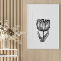 Desenho da Flor Negra e Branca Minimalista