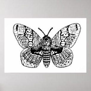 Poster Desenho da marreta brâmane