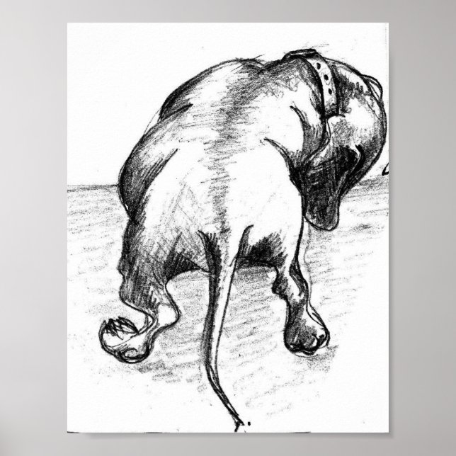 Poster Desenho Dachshund (Frente)