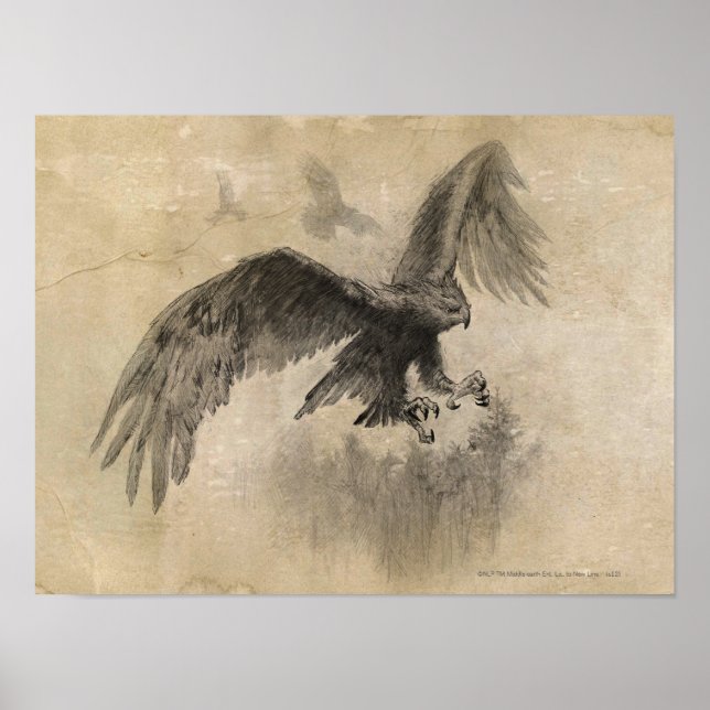 Póster Desenho das Águias excelentes (Frente)