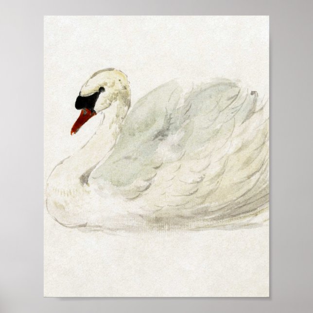 Poster Desenho de Aert Schouman (Frente)