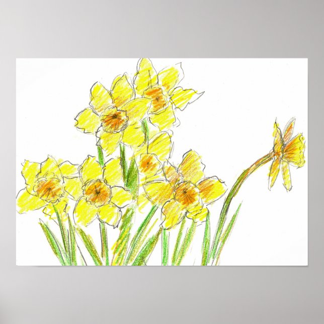Poster Desenho de Aquarela primavera amarelo Daffodil Gar (Frente)