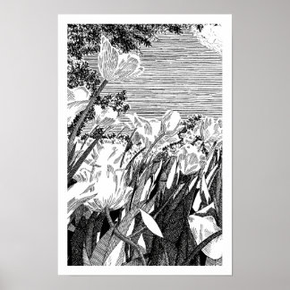 Poster Desenho de arte de linha de campo de tulipa botâni