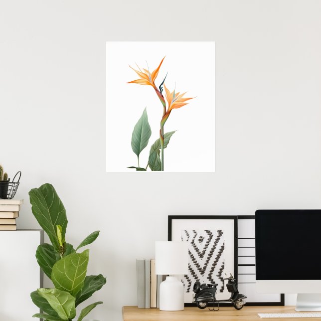 Poster Desenho de ave do paraíso (flor) (Escritório em casa)