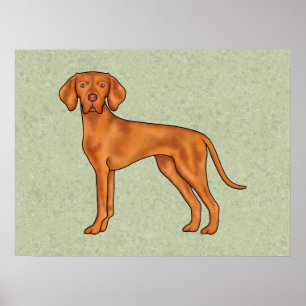 Poster Desenho de cachorro apontador fofo Vizsla Húngaro