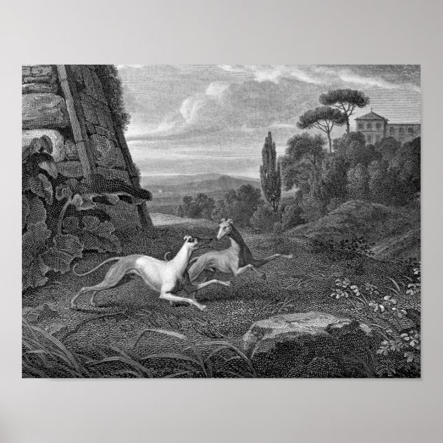 Póster Desenho De Cachorros Italiano (Frente)