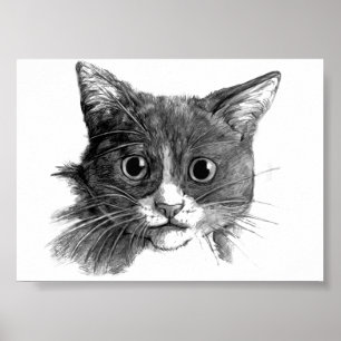 Poster Desenho de Cat