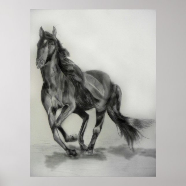 Poster desenho de cavalo escuro (Frente)