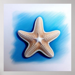 Poster Desenho de Estrela-do-Mar com Giz de Cera